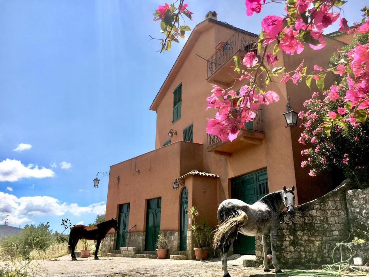 Country Room Sicily - Agrigentoholidays Екстер'єр фото